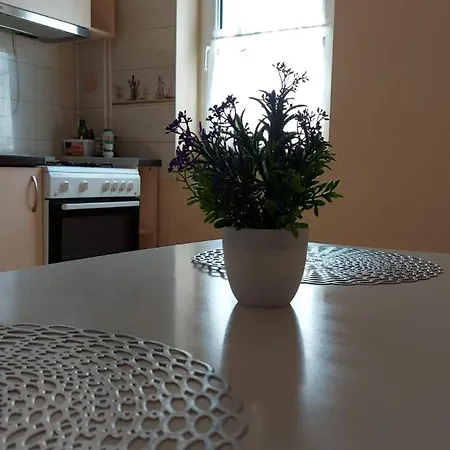 Peace Apartament * טימישוארה